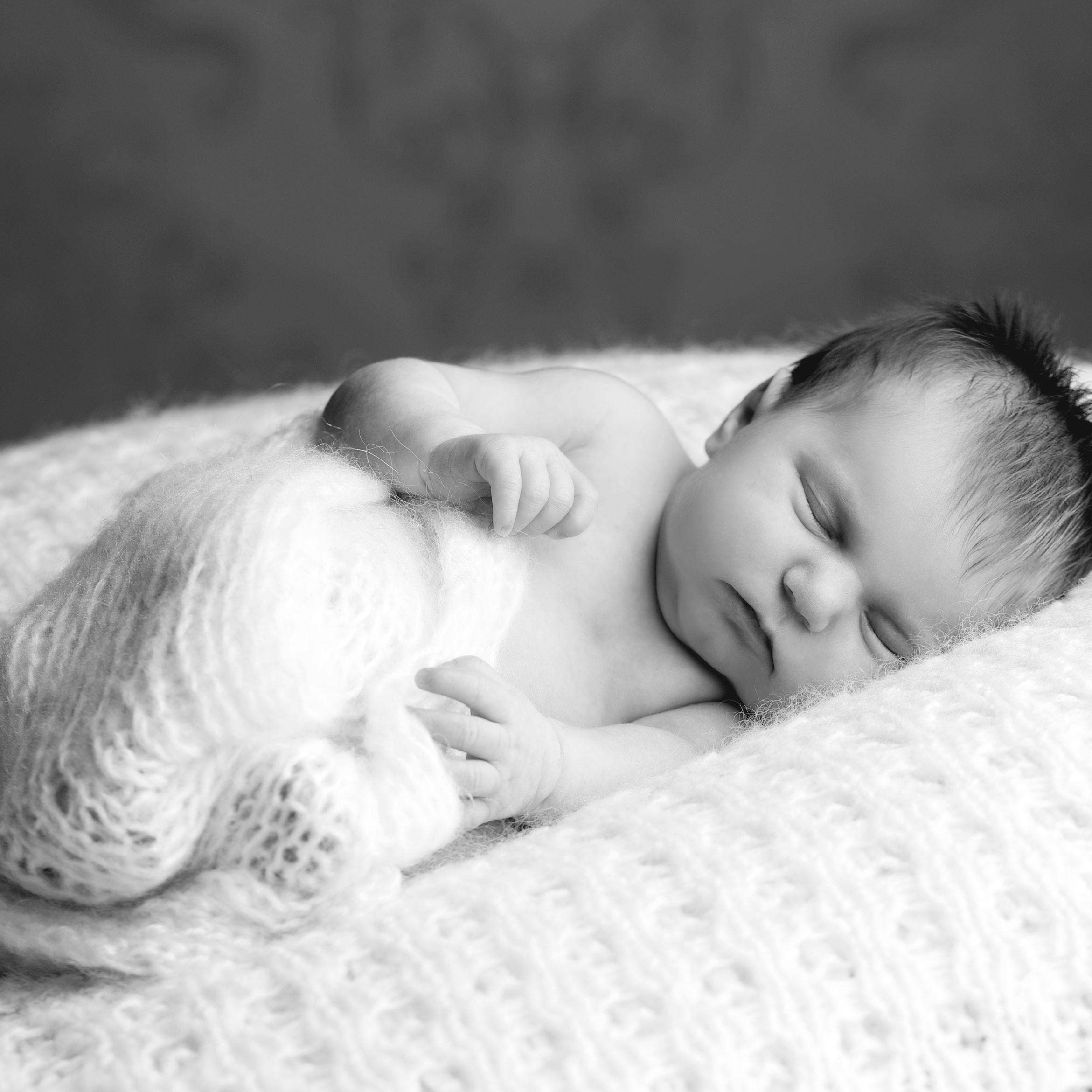 ebert_D14278-3112