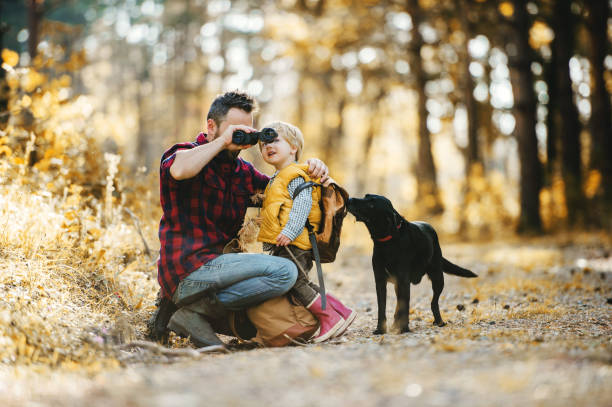 istockphoto-1071124882-612x612