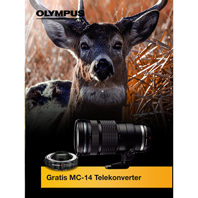Olympus Aktion Olympus Aktion